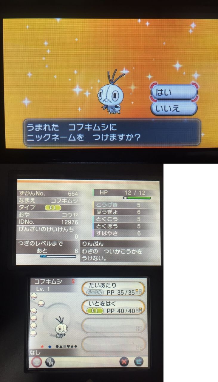 色違い コフキムシ 日々ポケモン 色違い コフキムシ 日々ポケモン