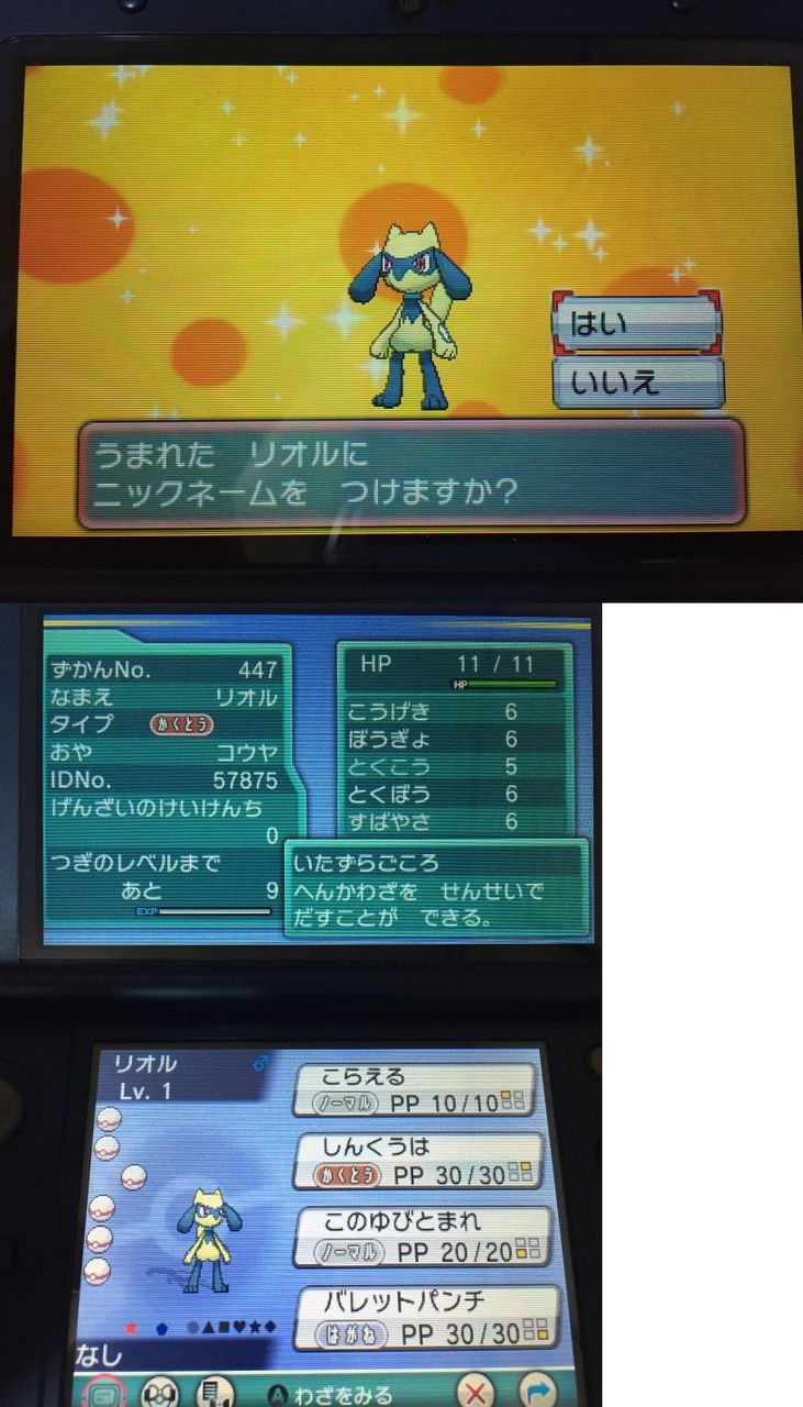 色違い リオルその４ 日々ポケモン