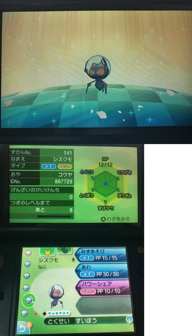 色違い シズクモ 日々ポケモン
