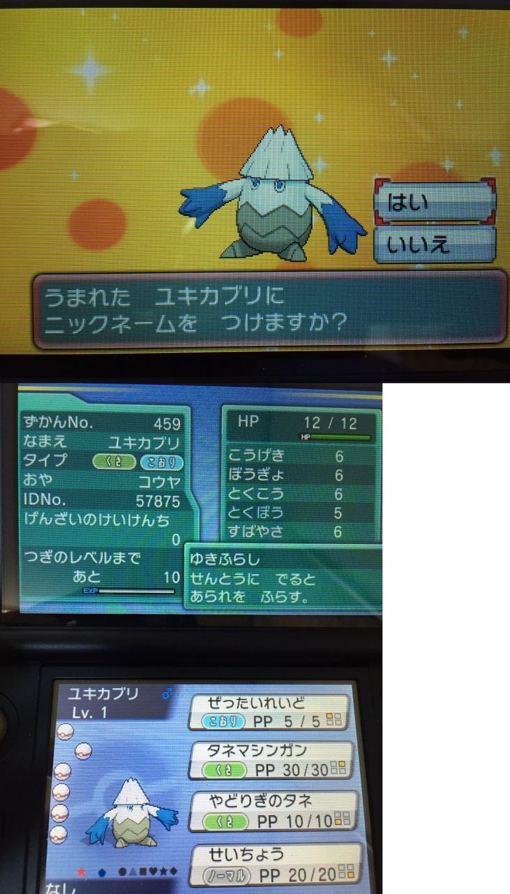 色違い ユキカブリ 日々ポケモン