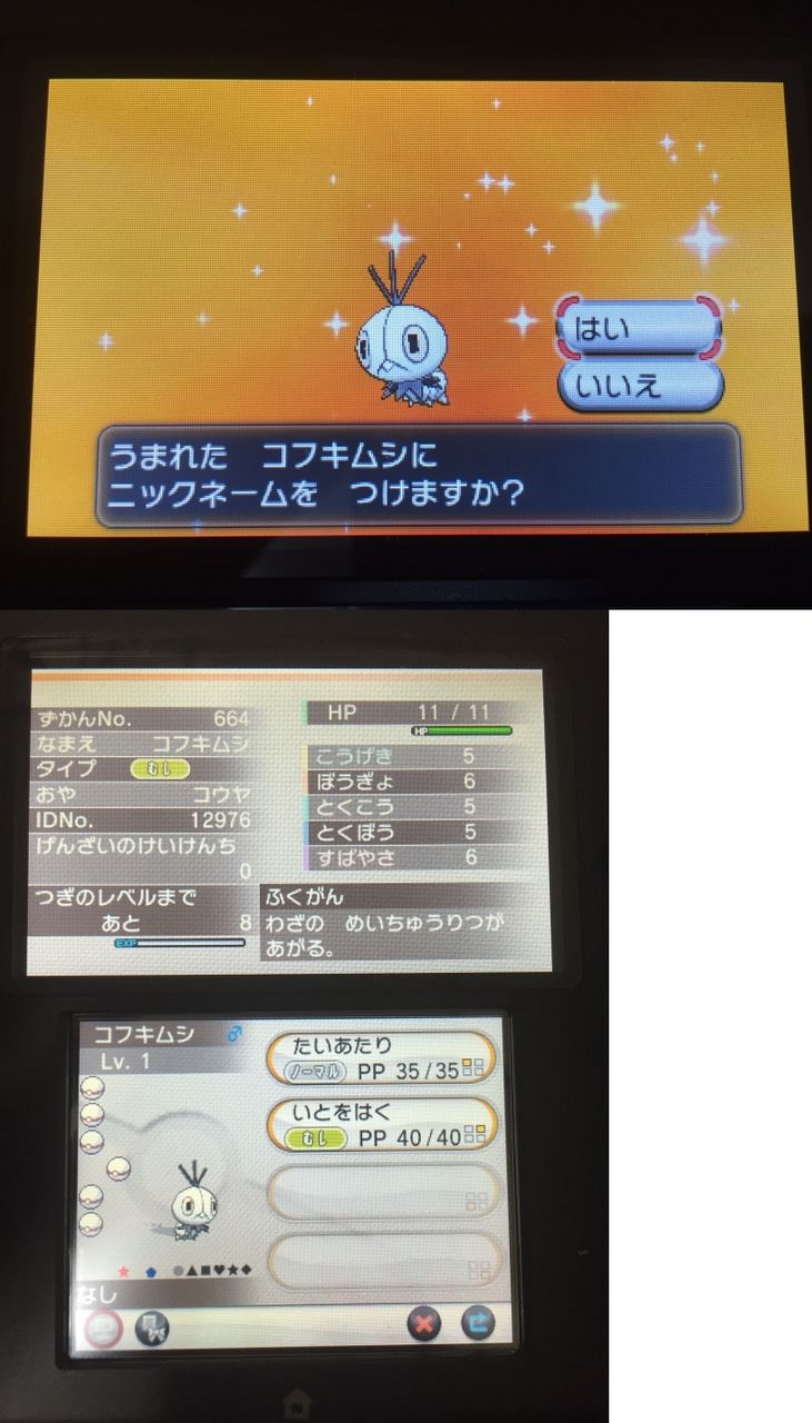色違い コフキムシその3 日々ポケモン 色違い コフキムシその3 日々ポケモン