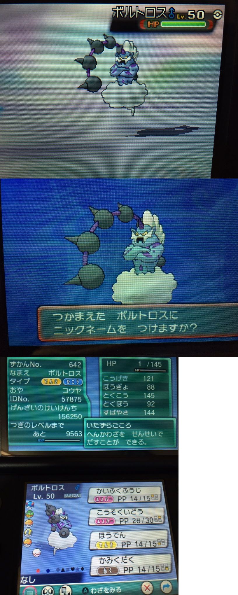色違い ボルトロス 日々ポケモン