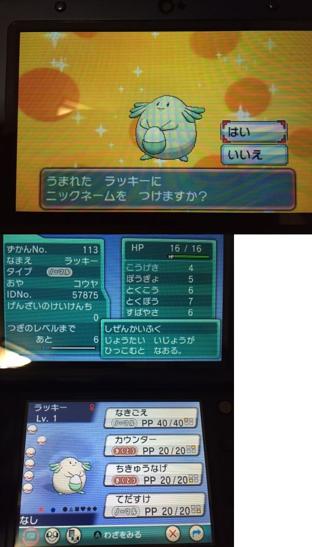 色違い ラッキーその４ 日々ポケモン