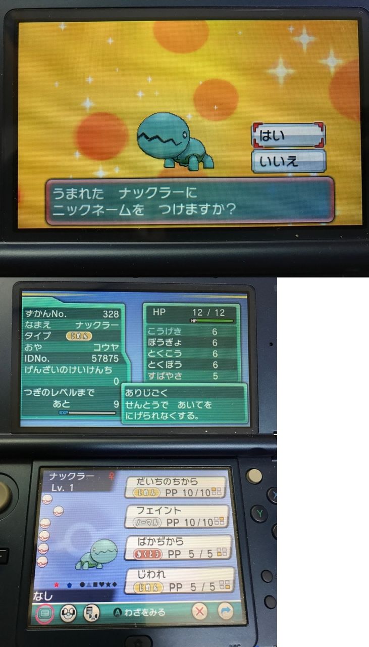 色違い ナックラーその10 日々ポケモン 色違い ナックラーその10 日々ポケモン