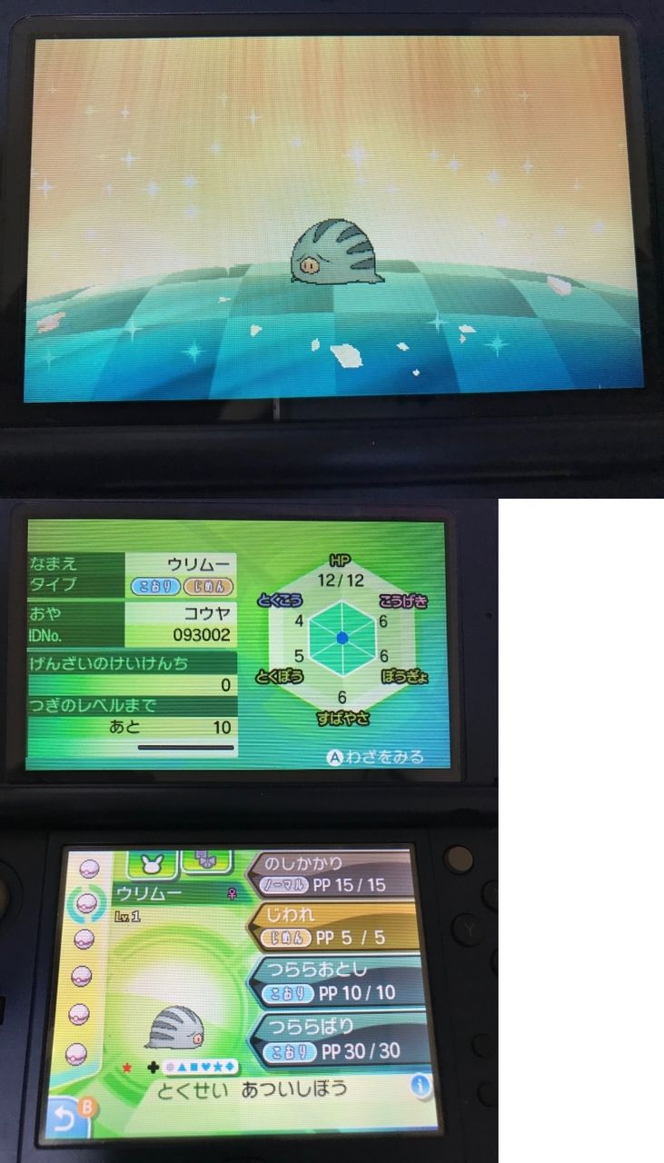 色違い ウリムーその2 日々ポケモン 色違い ウリムーその2 日々ポケモン