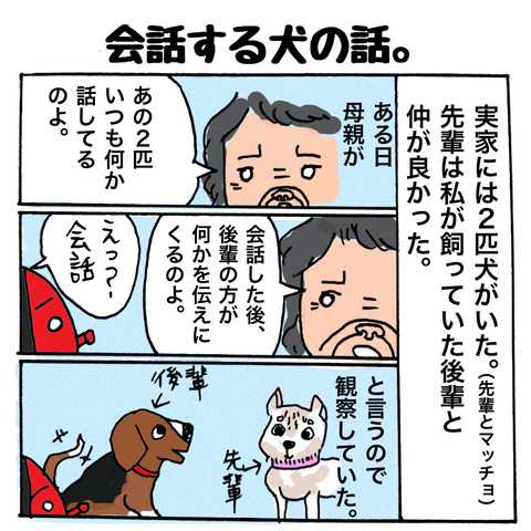会話犬