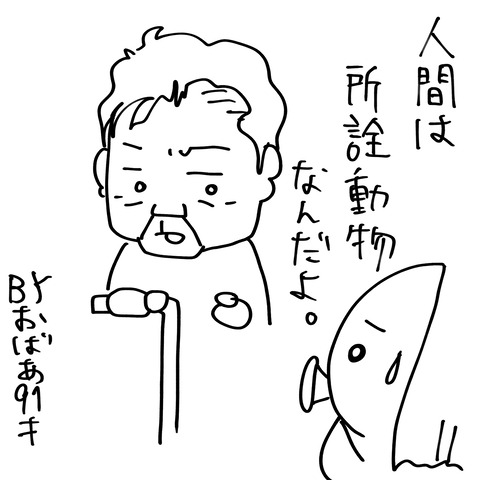 胎盤