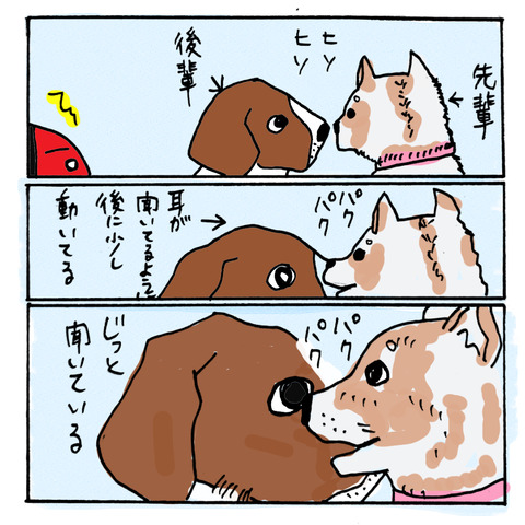 犬語−２