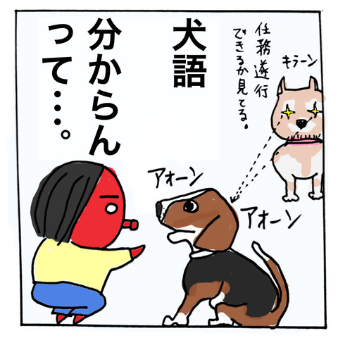 犬語−４