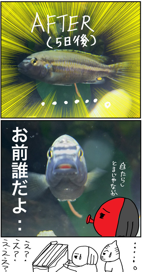 知らない魚2
