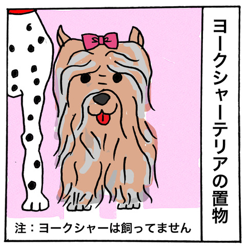犬好き−３