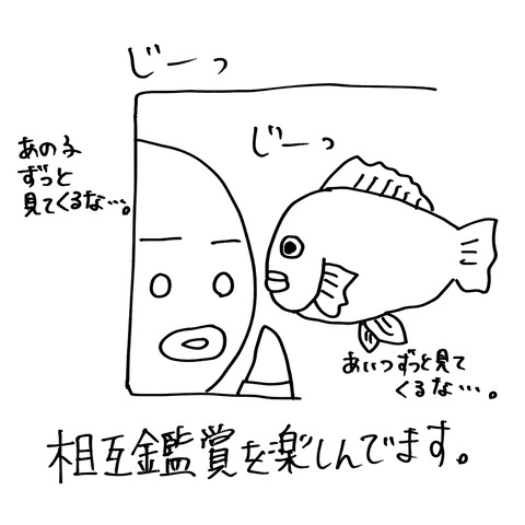 睡眠不足3