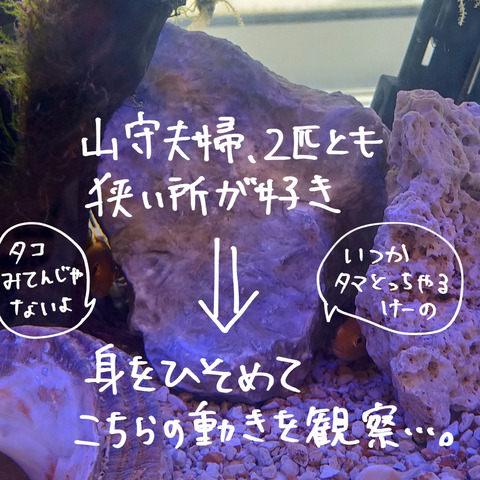仁義⑤-2