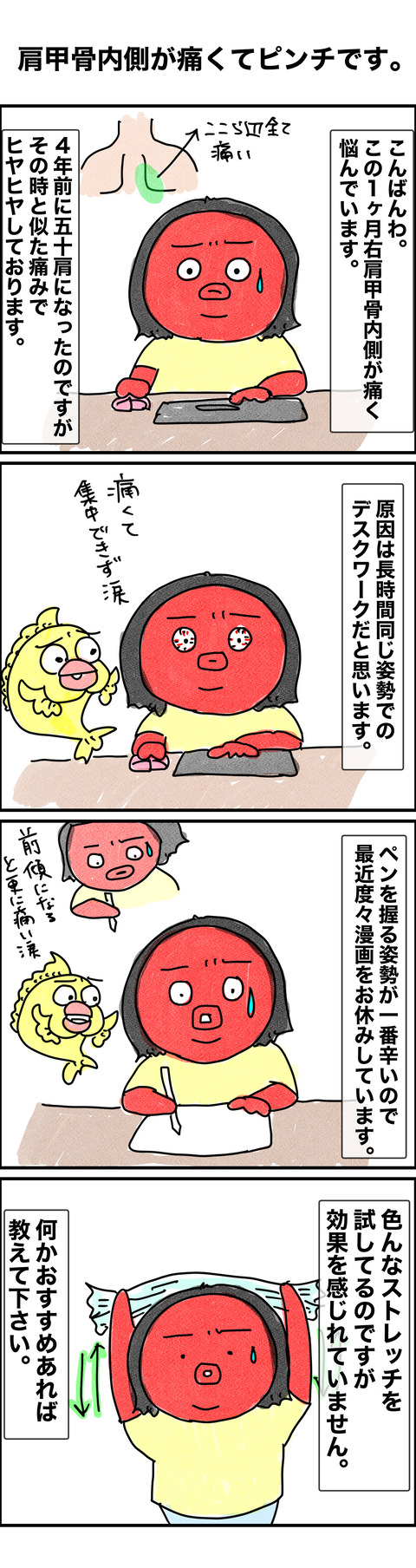 肩甲骨