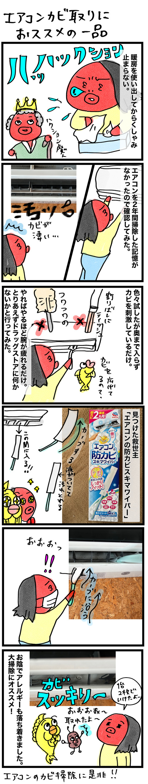 カビ