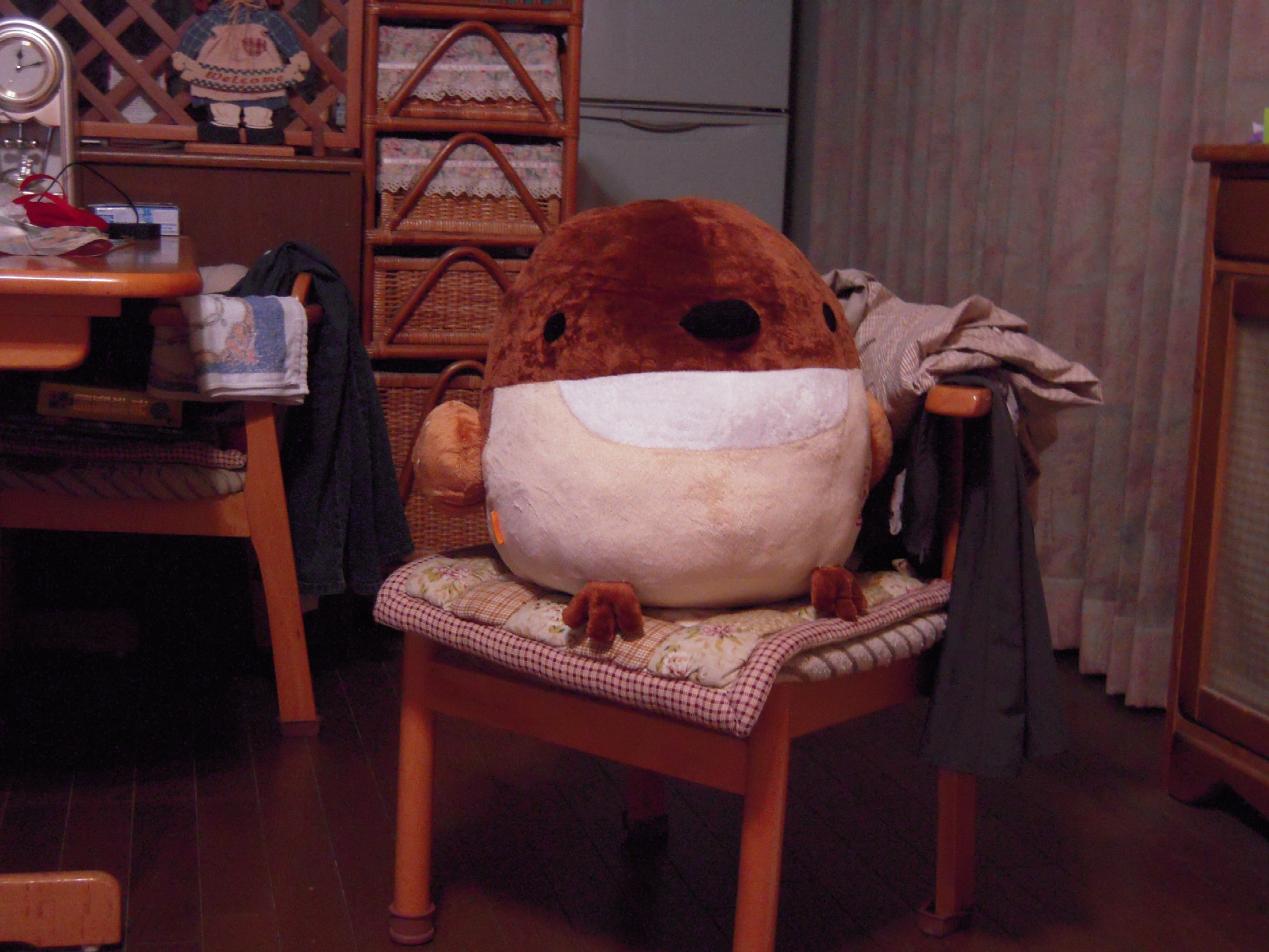 はんなり豆腐のスズメさん ポンかん ブログ はんなり豆腐のスズメさん ポンかん ブログ