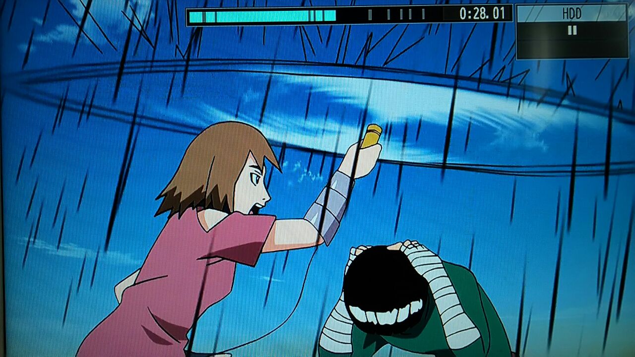 アニナル感想 木ノ葉の便利屋 そこはかとなく 無駄な日々