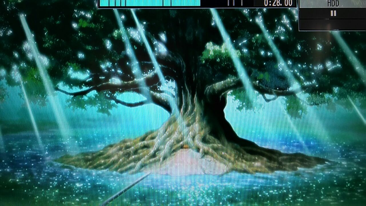 アニナル感想 アイツが教師で教師がオレで そこはかとなく 無駄な日々