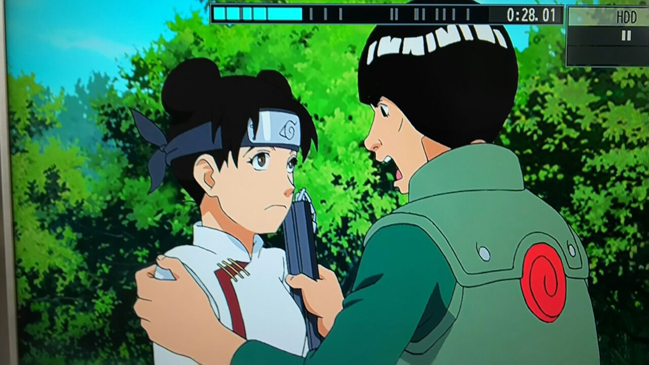 アニナル感想 ものは言いよう そこはかとなく 無駄な日々