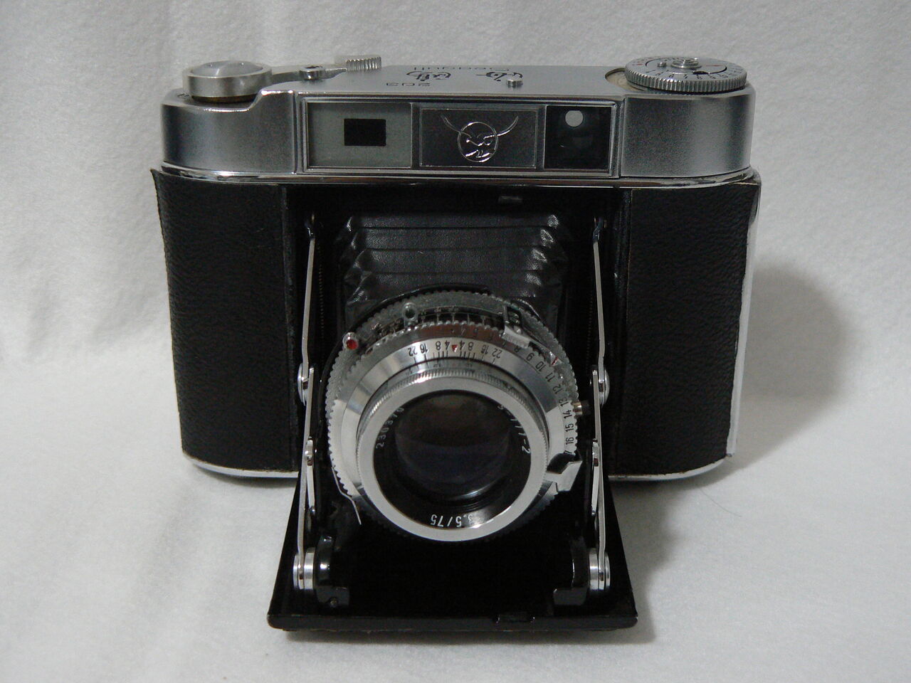 第314回目 海鴎203 Seagull : ポンコツとうさんの「カメラの写真」