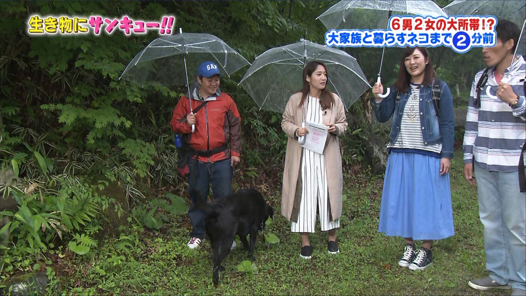 吉田明世 生き物にサンキュー 16 07 女子アナキャプでも貼っておく Dispute With Pride 吉田明世 生き物にサンキュー 16 07 女子アナキャプでも貼っておく Dispute With Pride