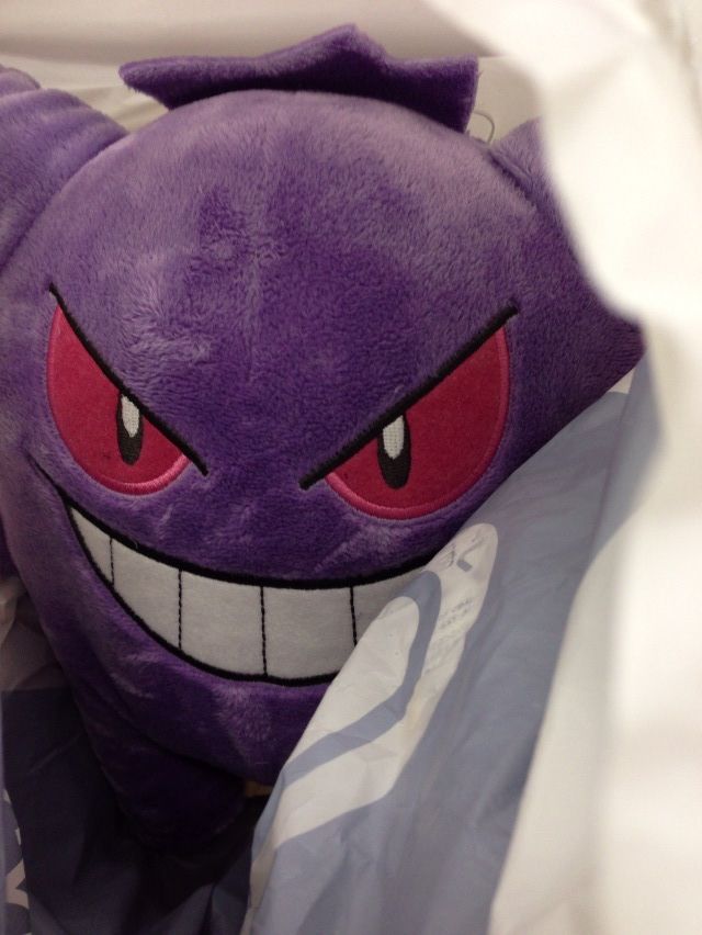 ポケモングッズ 三度の飯とポケモンカード ポケモングッズ 三度の飯とポケモンカード