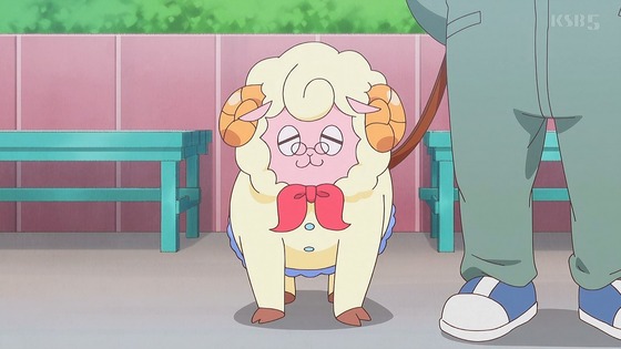 「わんだふるぷりきゅあ!」わんぷり 28話感想 (18)