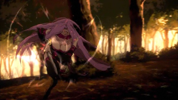 Fate (29)