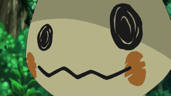 「ポケットモンスター サン&ムーン」 (14)