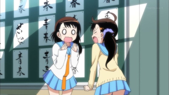 ニセコイ (29)
