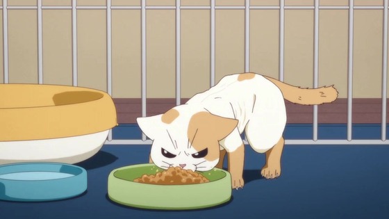 「ラーメン赤猫」11話感想 (30)