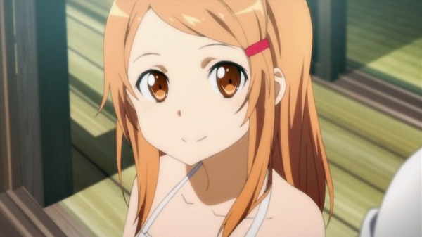 SAO (23)