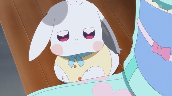 「わんだふるぷりきゅあ!」わんぷり 23話感想 (18)