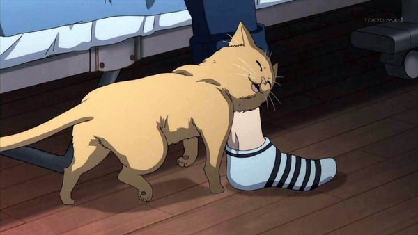 SHIROBAKO (66)