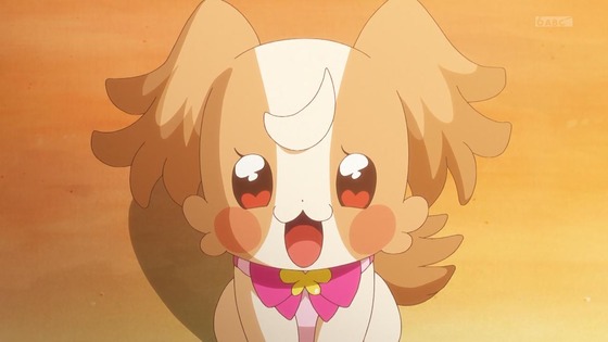 「わんだふるぷりきゅあ!」わんぷり 50話感想 (35)