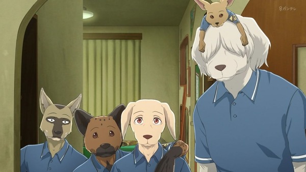 「BEASTARS ビースターズ」第11話 感想 画像 (49)