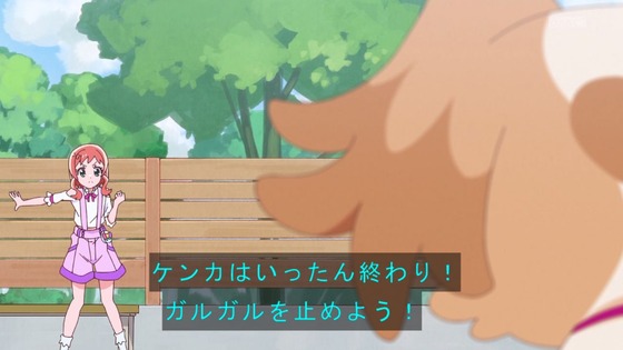 「わんだふるぷりきゅあ!」わんぷり 6話感想 (34)