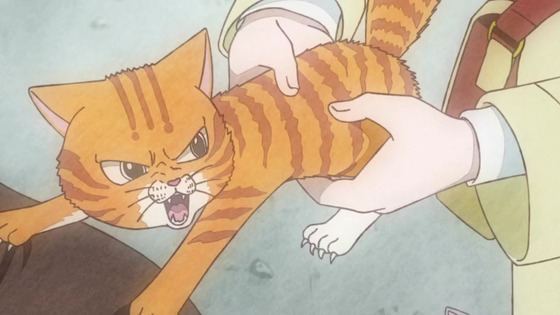 「ラーメン赤猫」11話感想 (17)