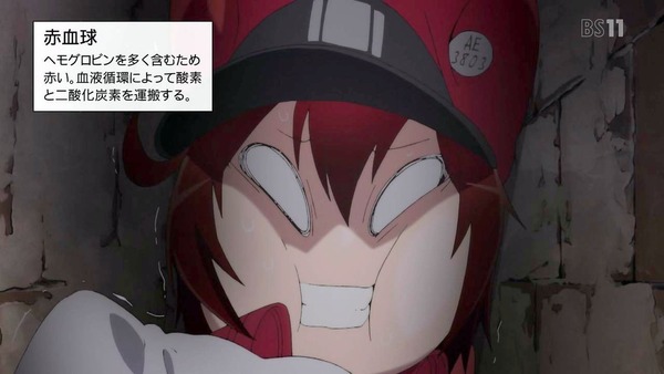 「はたらく細胞」10話感想 (2)