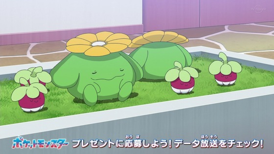 「ポケットモンスター」10話 感想 (3)