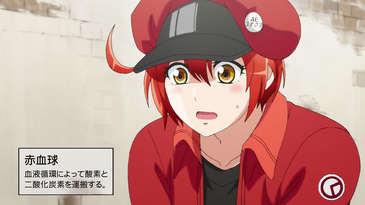 はたらく細胞 7話感想 Vsがん細胞 日夜我々の身体の中ではこんな攻防が繰り広げられているのです 画像 ポンポコにゅーす ファン特化型アニメ感想 サイト はたらく細胞 7話感想 Vsがん細胞 日夜我々の身体の中ではこんな攻防が繰り広げられているのです 画像 ポンポコにゅーす ファン特化型アニメ感想 サイト