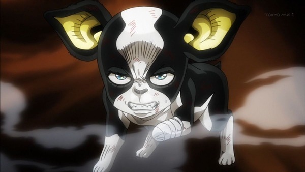 ジョジョの奇妙な冒険 エジプト編 (39)