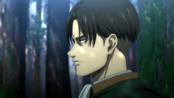 「進撃の巨人」第73話(4期 14話)感想 (73)
