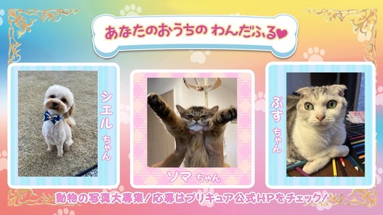 「わんだふるぷりきゅあ！」わんぷり 19話感想 (69)