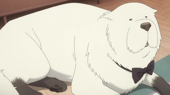 「SPY×FAMILY」50話感想 (61)