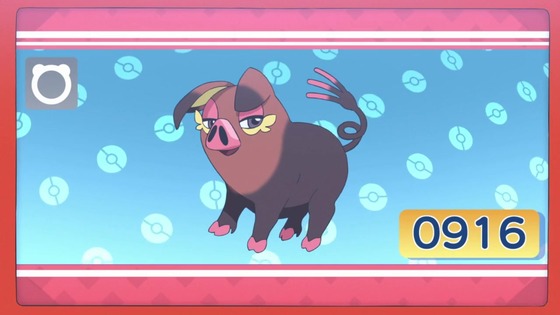 「ポケットモンスター」アニポケ36話感想 (17)