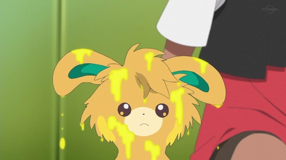 「ポケットモンスター」10話 感想 (40)