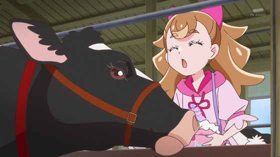「わんだふるぷりきゅあ!」わんぷり 28話感想 (20)