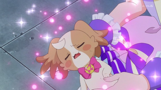 「わんだふるぷりきゅあ!」わんぷり 49話感想 (17)