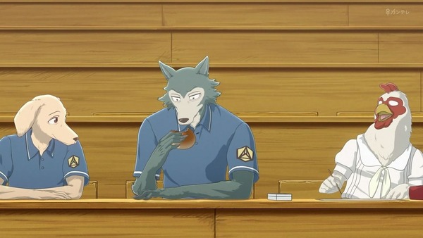 「BEASTARS」7話感想 (11)